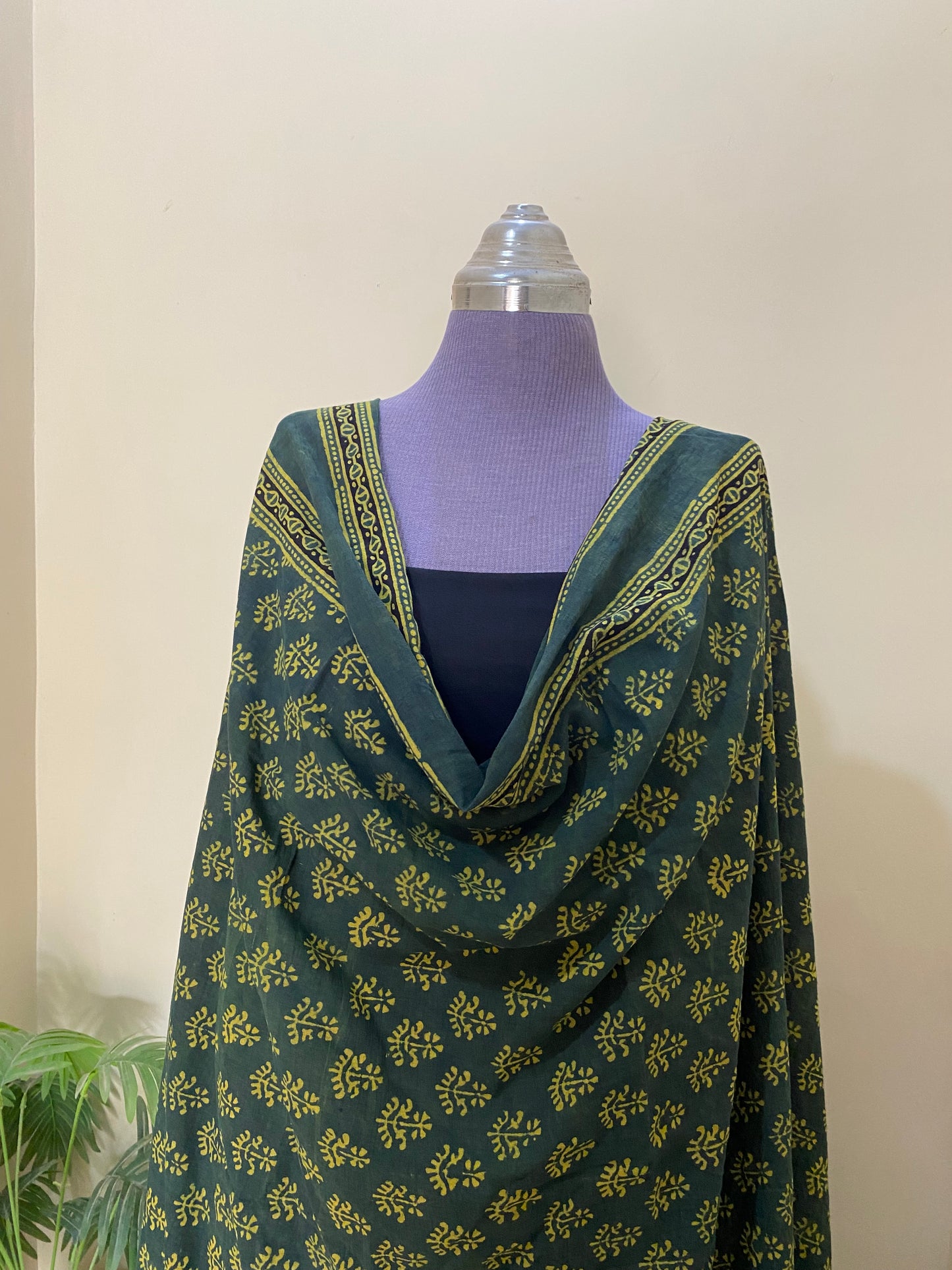 Dupata/Shawl